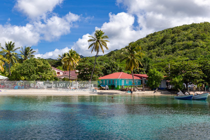 CÔTE CARAÏBE