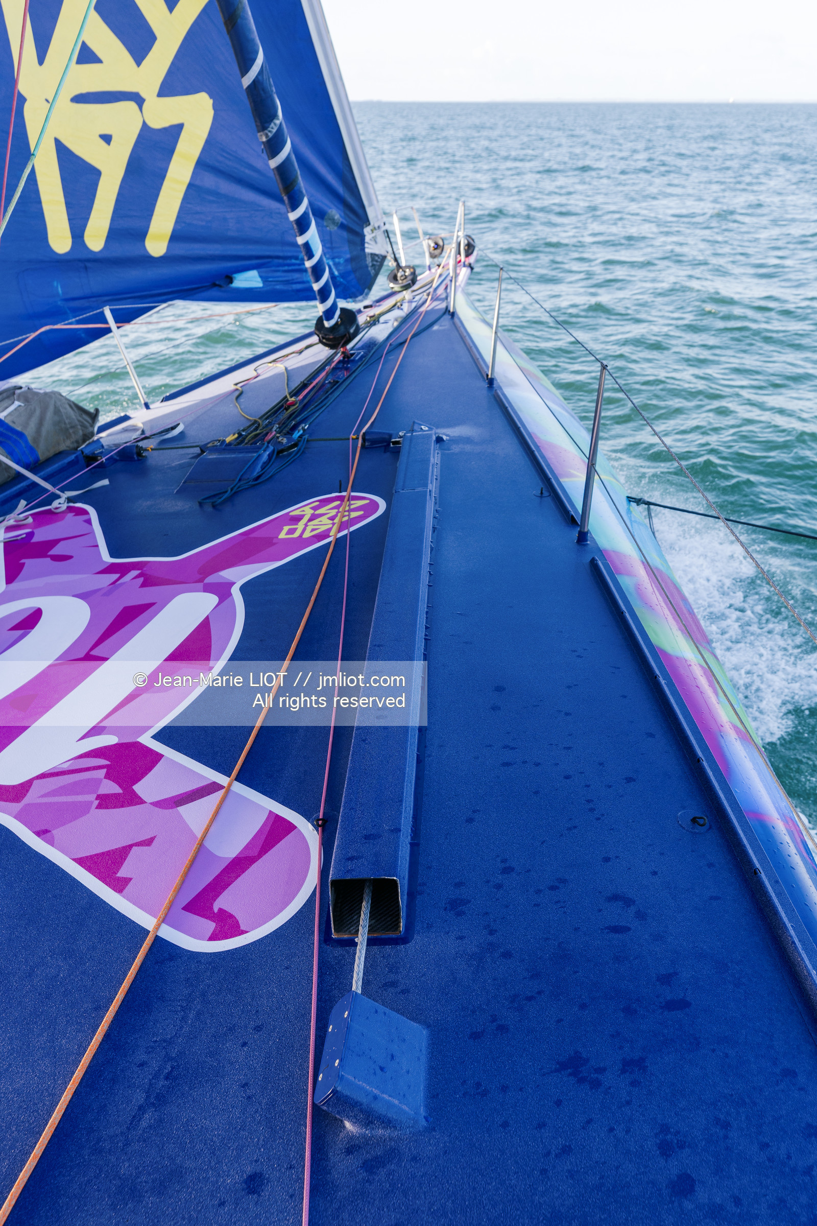 ARMEL TRIPON 2025 - LES PETITS DOUDOUS