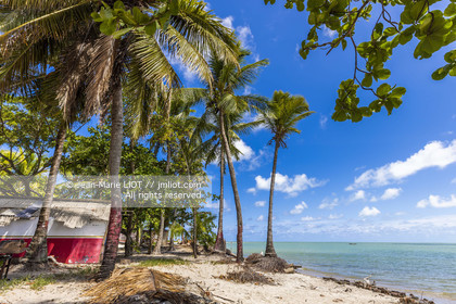 GLOBE40 - ILE DE COROA DO AVIAO