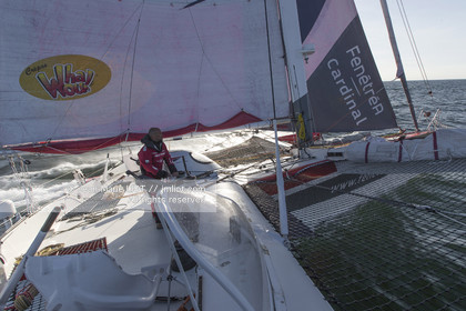 SAILING - ROUTE DU RHUM 2014 - MULTI 50 - FENETREA CARDINAL