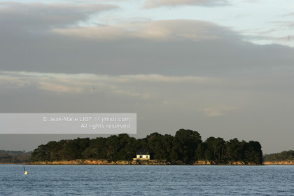 041227MORB_O8H7131 .jpg