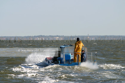 CHALANDS OSTREICOLES