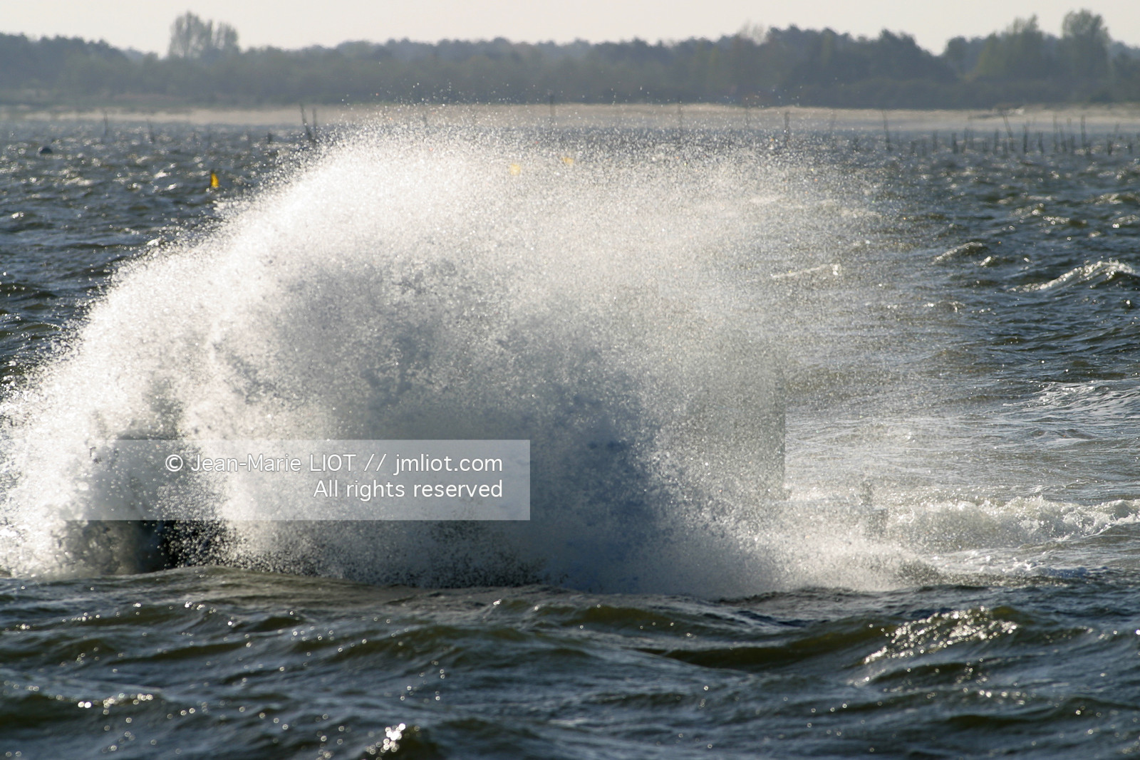 CHALANDS OSTREICOLES