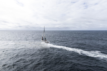 LOUIS DUC 2022 - ROUTE DU RHUM