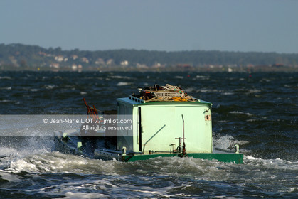 CHALANDS OSTREICOLES