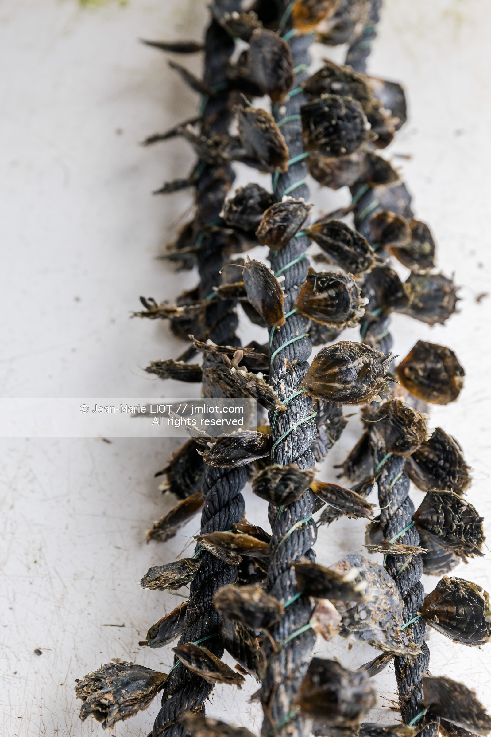 CROISIERE TAHITI - ILES DE LA SOCIETE