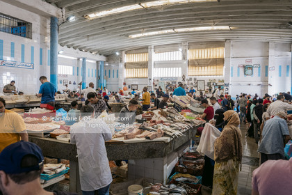 MAROC - TANGER - MEDINA