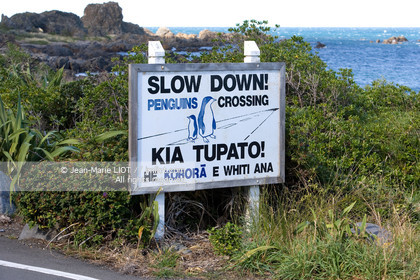 WELLINGTON-NOUVELLE ZELANDE