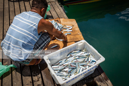 SALVADOR DE BAHIA-FOIRE DE SAO JOAQUIM