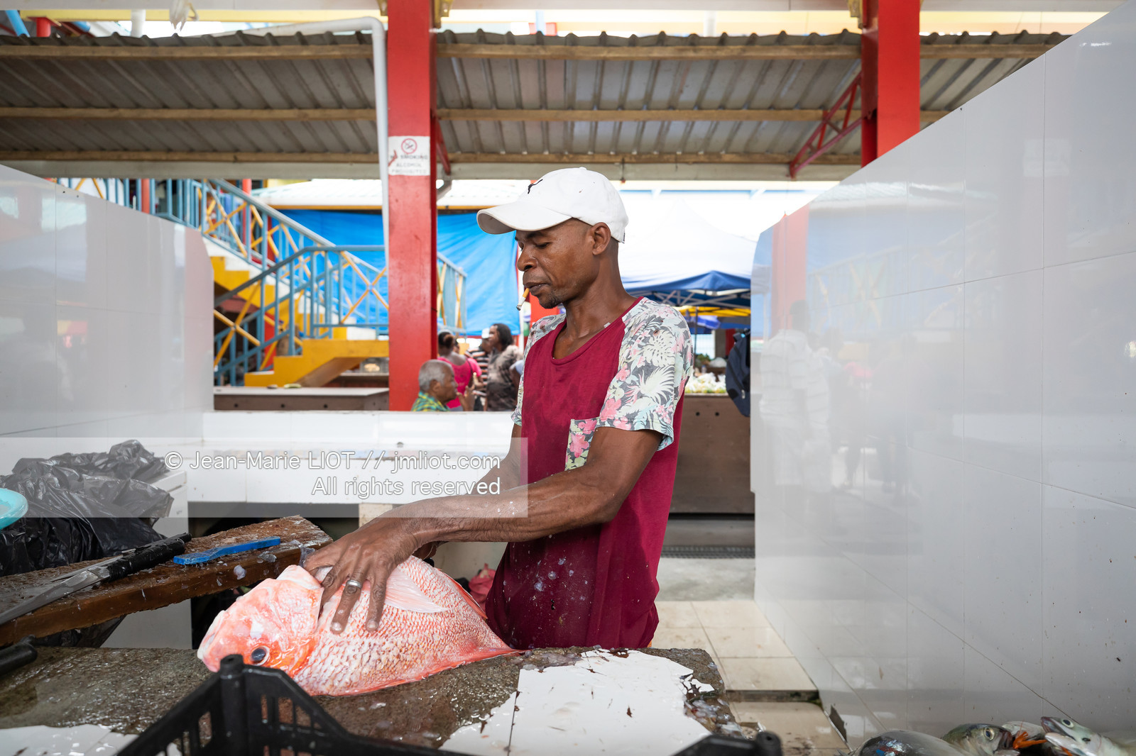 CROISIERE AUX ILES SEYCHELLES