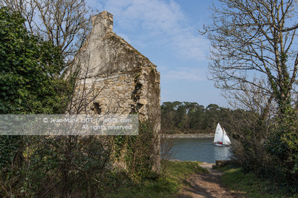 RIVIERE DE PONT LABBE - DECOUVERTE