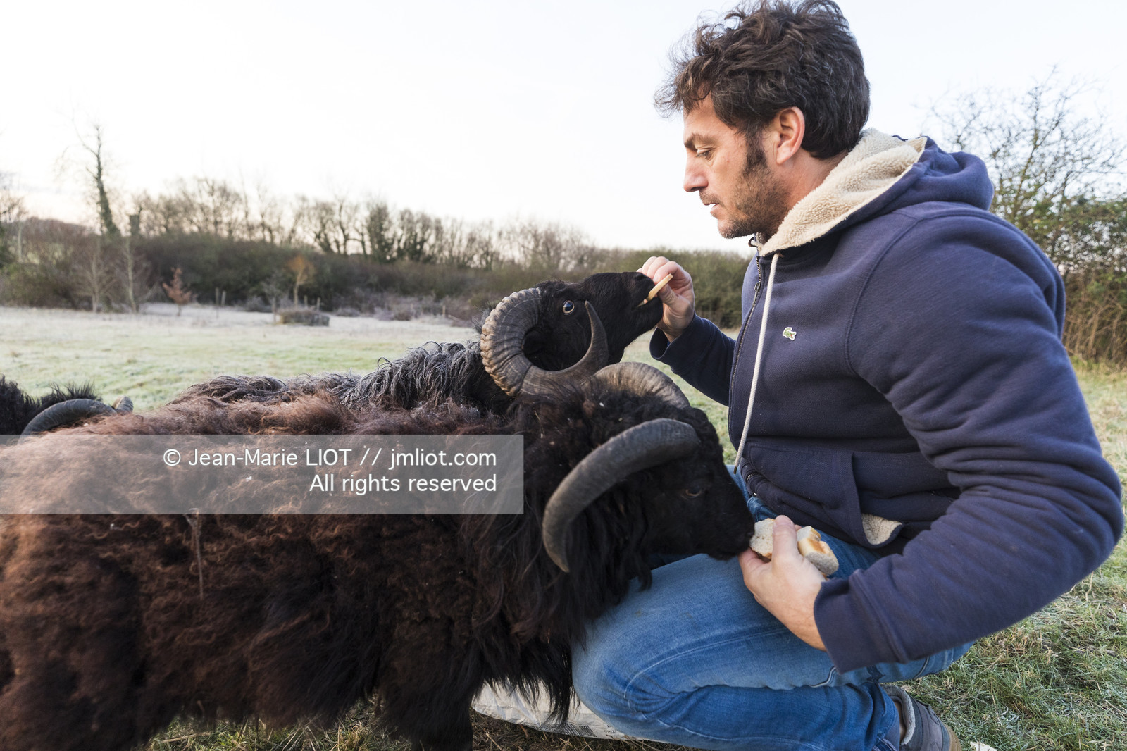 ERIC PERON - WILD LIFE