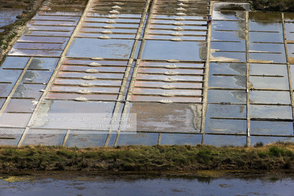 Carnac, vue aerienne des marais salants..© JEAN-MARIE LIOT.Carnac, aerial view of the salt marshes