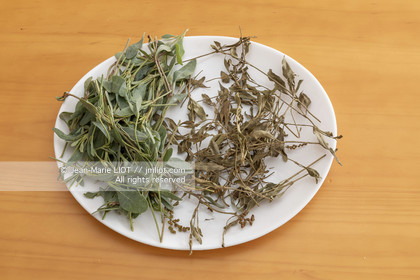 BAIE DE SOMME - 2020