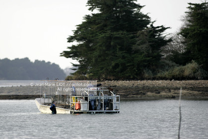 041227MORB_O8H6853 .jpg