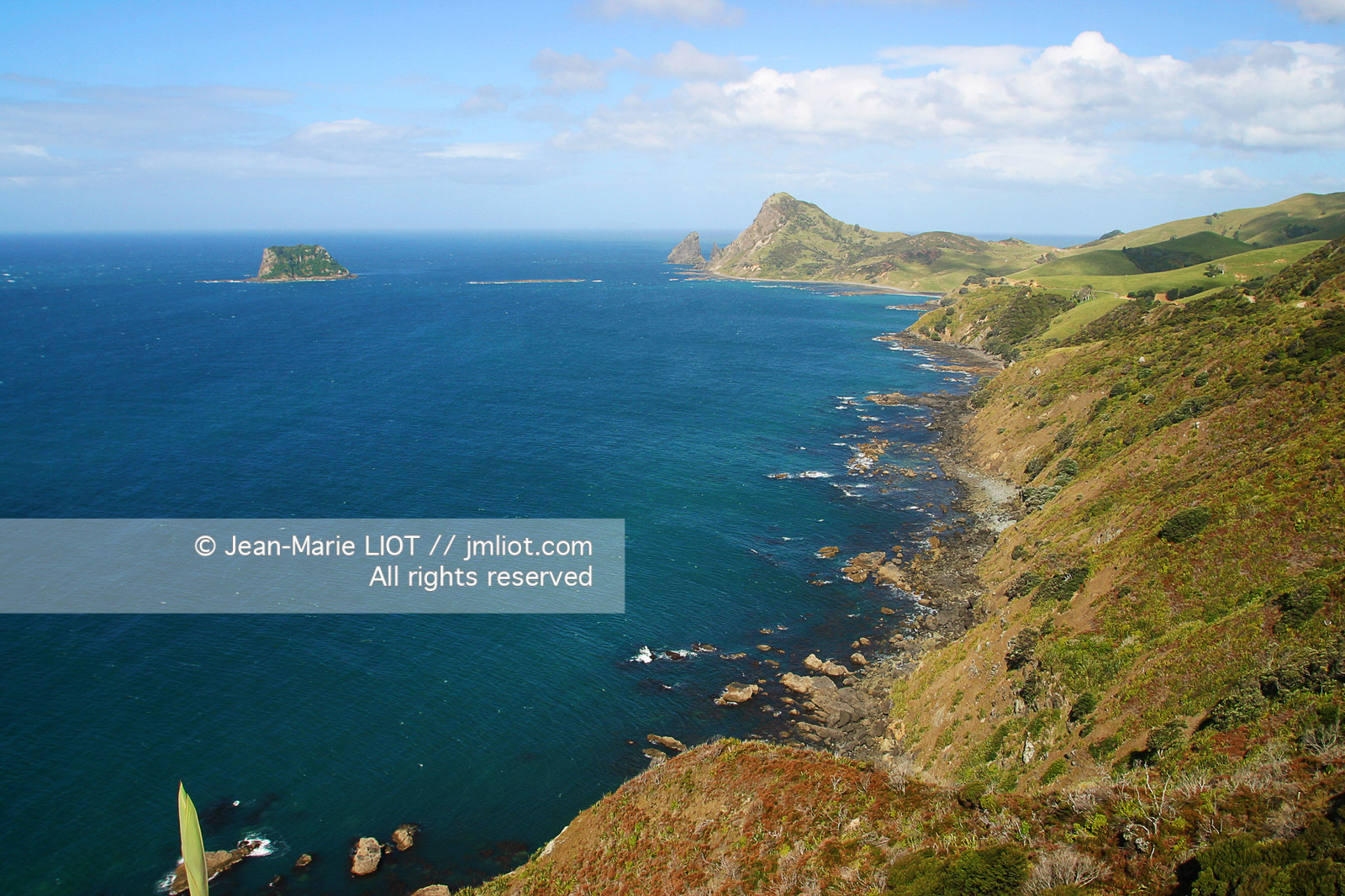 NOUVELLE ZELANDE - COROMANDEL
